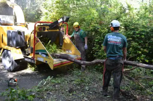 tree services Welby